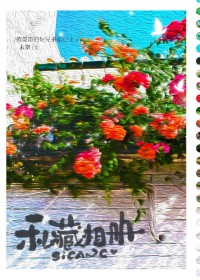 私藏相册